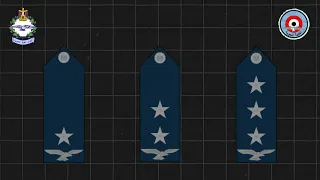 تعرف على رتب وترقيات القوات الجوية       الكعب العالي   دندنها