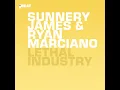 Lethal Industry