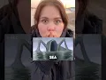 Download Lagu WE FOUND THE SEA EATER IN REAL LIFE #shorts