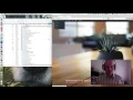 How to Disable a WordPress Plugin over FTP