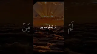 فرحين بما اتاهم الله من فضله ويستبشرون بالذين لم يلحقوا بهم من خلفهم الا خوف عليهم العجمي اشترك 