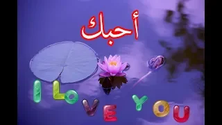 قطرات الندي موسيقي هادئة وحالمة جداجدا للنوم والاسترخاء    استمتع   دندنها