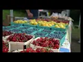 NECC Millerton Farmers Market