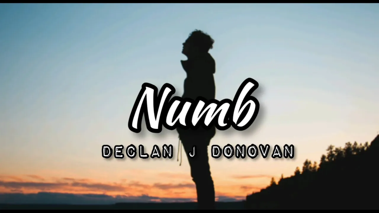 Declan J Donovan - Numb | Lyric Video Declan J Donovan - Numb | Lyric Video