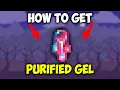How to get PURIFIED GEL in Calamity Mod for Terraria