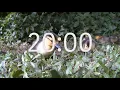 20 Minute Silent Timer Duckling Theme
