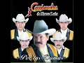 Belleza de Cantina Cardenales de Nuevo León