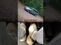 Download Lagu The car starts on a steep slope, very simple!#shortsvideo  #car  #driving  #tips