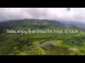 Kauai Couples Masssage