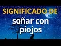Que significa sonar con piojos Interpretacion de los Suenos