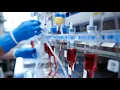 How Much Does CSL Pay For Plasma