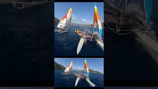 Twin Hobie Cats: Double the Speed, Double the Fun? #shorts #gopromax