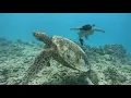 Download Lagu AKASO Brave 4 4K 20MP WiFi Action Camera Ultra HD with EIS 30m Underwater Waterproof Camera Remote C