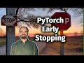 PyTorch Early Stopping and Model Persistence 3 4