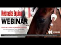 Horse Colors through Genetics