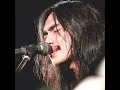 ก่อนวันสุดท้าย - วุฒิ ป่าบอน พาราฮัท