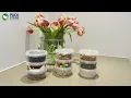 Download Lagu 180 ml rond plastic bakje (TE) met deksel ø95 mm | Plastic bakjes met deksel | Pack-Store
