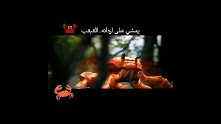 يمشي على اردانه القبقب دندنها
