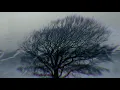 Julia Kent - Salt Point (Official Video)