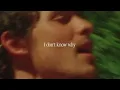 Shawn Mendes - Why Why Why (Official Lyric Video)