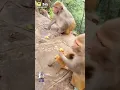 Bai kai kara bai