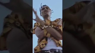 انتو فى نظرى ارانب على دباديب Pablo Rap Trap Abyusif Marwanmoussa Wegz Eljoker Legecy 