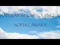 Download Lagu Anyways How You Been - Sofia Camara (Lyrics)