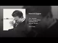 Bireli Hi Gogoro