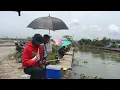 Download Lagu KINALADKAD ANG FLOATER NG JUMBO TILAPIA PAILALIM | Ka Moratal Tv