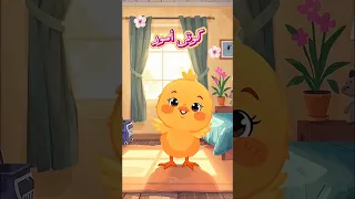 كوتي أمور كوتي شطور   أغنية هتحبها كل الأطفال  كوتي أمور  طيور الجنة  أغاني أطفال دندنها