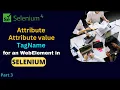 How to extract TagName attribute value of an web Element in selenium test automation