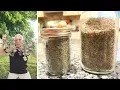 Drying Oregano