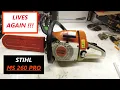 Stihl MS260 PRO - Back To Life