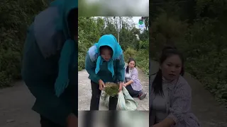 Gieo lòng tốt, người phụ nữ nhận cái kết không ngờ