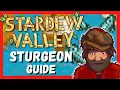 Stardew Sturgeon Guide How to catch the Sturgeon in Stardew Valley Fishing Guide
