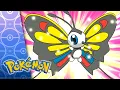 Lagu All Things Bright and Beautifly! | POKÉMON FULL EPISODE 13 | Season 6