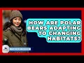 Download Lagu How Are Polar Bears Adapting To Changing Habitats? - Polar Regions Uncovered