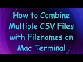 How to Combine Multiple CSV Files with Filenames on Mac Terminal