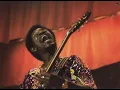 LUTHER ALLISON    - SWEET HOME CHICAGO (LIVE)