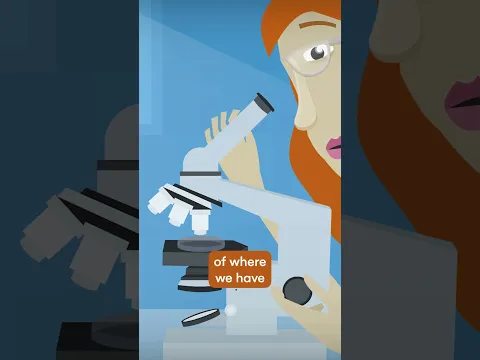 Knowing Things Intellectually vs  Knowing Them Emotionally #theschooloflife #animation #vs