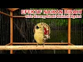 Download Lagu Pancingan Cipoh / Sirtu Jantan \u0026 Betina Untuk Sirpu Yang Kurang Birahi Agar Gacor  Emosi Ngotot