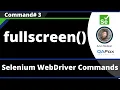 fullscreen Command - Selenium WebDriver
