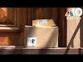 Brushing scams What to know about the new package return shakedown