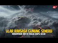 Lagu WARGA TERCENGANG‼️ Video Ular Raksasa Menampakkan Diri Saat Gunung Semeru Meletus, Bikin Heboh...
