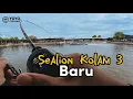 Download Lagu Sealion Kolam 3 Baru | Dapat Naik Kerapu #rentaka