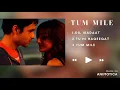 Download Lagu Tum Mile Songs || Emraan Hashmi || KK || Bollywood Hits || Overwhelmed Soul
