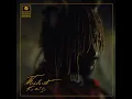 Funny Thing - Thundercat