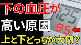 【医師監修】知らないと後悔する「血圧が上がる原因と対策」上と下はどっちの方が大事？正しい血圧の測り方は？血圧に関する知識を徹底解説