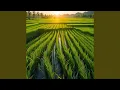 Download Lagu irama suka di sawah