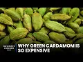 Why Green Cardamom Is So Expensive So Expensive